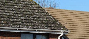 Gutter and roof cleaning in Brentwood and Shenfield